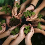 kids-hands-holding-plants