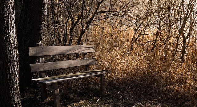 “Catechism of Place” Intro (by Intern Jacob Taylor, from the Ohio Mill Creek Watershed)