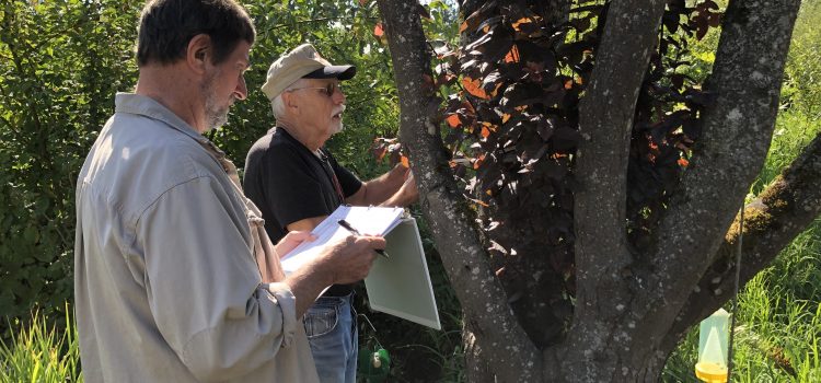 Help Nature Restore Carbon Balance – St. Andrew Lutheran Community Carbon Team Update