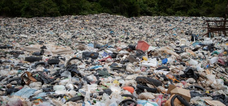 Choked by Plastic Pollution (by Carol Harker, Community Carbon Team Member at St. Andrew Lutheran Church)