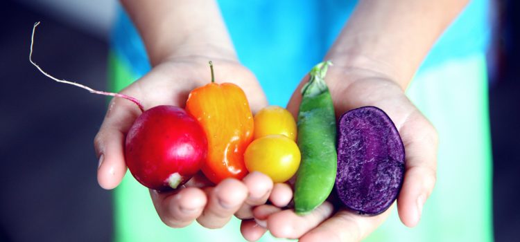 Storing Food without Single-Use Plastic  (by LuAnn Staul, Community Carbon Team Member at St. Andrew Lutheran Church)